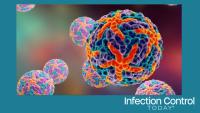 Digital illustration of Dengue virus. A model is built using data of viral macromolecular structure furnished by Protein Data Bank (PDB 3J 27) (Adobe Stock 89001593 by Dr_Microbe