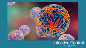 Digital illustration of Dengue virus. A model is built using data of viral macromolecular structure furnished by Protein Data Bank (PDB 3J 27) (Adobe Stock 89001593 by Dr_Microbe