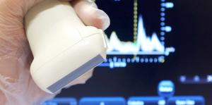 Ultrasound Transducer Disinfection: Better Guidelines/Recommendations Needed 