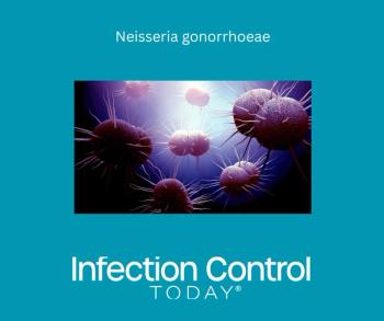 Neisseria gonorrhoeae (Adobe Stock 248386948 by Design Cells)