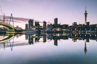 Q&A: Lessons From the COVID Frontlines … of New Zealand