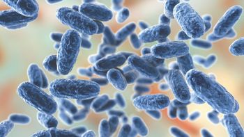 image of microscopic pathogen