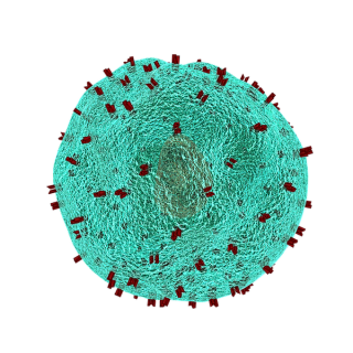 Q&A: Infection Preventionists Might Become Vaccine Cops