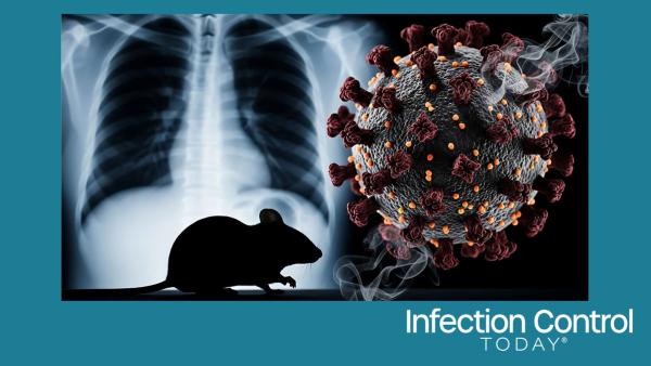 A hantavirus outbreak is a zoonotic RNA virus transmitted by infected rodents that causes severe disease.  (Adobe Stock 1849050274 by Lang)
