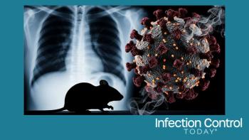 A hantavirus outbreak is a zoonotic RNA virus transmitted by infected rodents that causes severe disease. (Adobe Stock 1849050274 by Lang)
