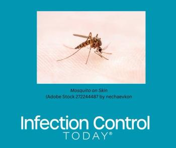 Mosquito on Skin. The Aedes aegypti mosquito transmits Zika, dengue, and chikungunya viruses. (Adobe Stock 272244487 by nechaevkon)