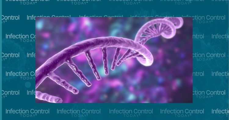 Molecule of mRNA 3D illustration  (Adobe Stock, 532133575 by Dr_Microbe) 