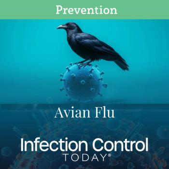 Avian Flu or Novel Influenza A (Adobe Stock unknown)