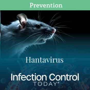 Rat looking right. Hantavirus  (Adobe Stock 814063034 by Anastasiia)