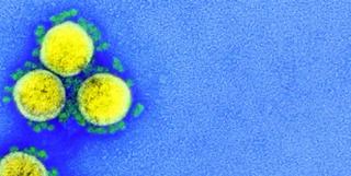 Omicron Causes Mild Infection? Maybe for Now