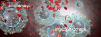 Aids HIV Virus (Adobe Stock 91661840 by Ezume Images)