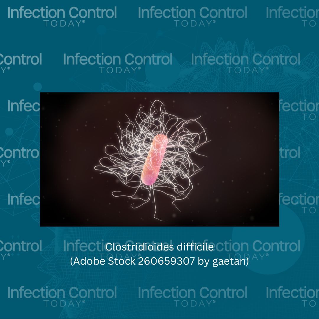 Clostridioides difficile (Adobe Stock 260659307 by gaetan)