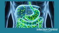 Digital X-ray visualization of the human digestive system with gut microbiome activity for gastroenterology, nutrition, health, and medical content  (Adobe Stock by MMTM)