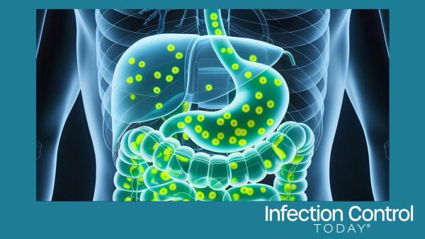 Digital X-ray visualization of the human digestive system with gut microbiome activity for gastroenterology, nutrition, health, and medical content  (Adobe Stock by MMTM)