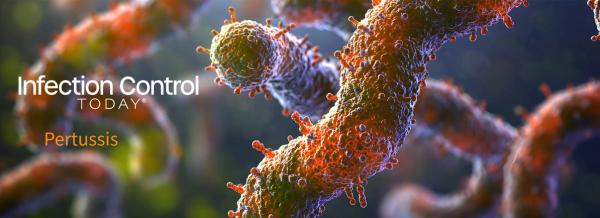 A highly detailed and realistic close-up of Bordetella pertussis.  (Adobe Stock 958655470 by phurinee)