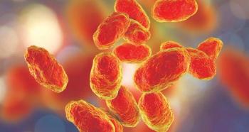 Haemophilus influenzae