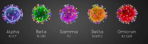 Alpha, Beta, Gamma, Delta, Omicron COVID-19 variants