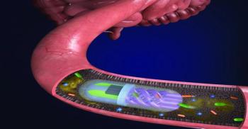 Bacteria in the gut are pulled into the helical channels by an osmotic 'pump' in