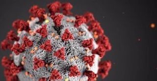 The Doctor Is On: Fields Tough Questions About COVID-19