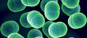 The Long Arm of MRSA