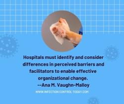 Perceptions and Barriers to Hand Hygiene Among Clinician Subgroups