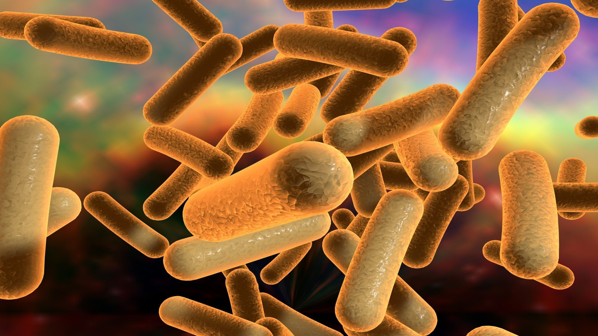 Cases of Recurrent Clostridium difficile Infection are Soaring