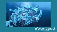 Legionella pneumophilia bacteria in water, medically 3D illustration (Adobe Stock 402188363 by Axel Kock