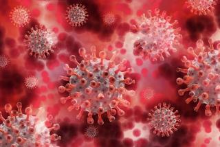 Q&A: Are Infection Preventionists Being Misinformed?