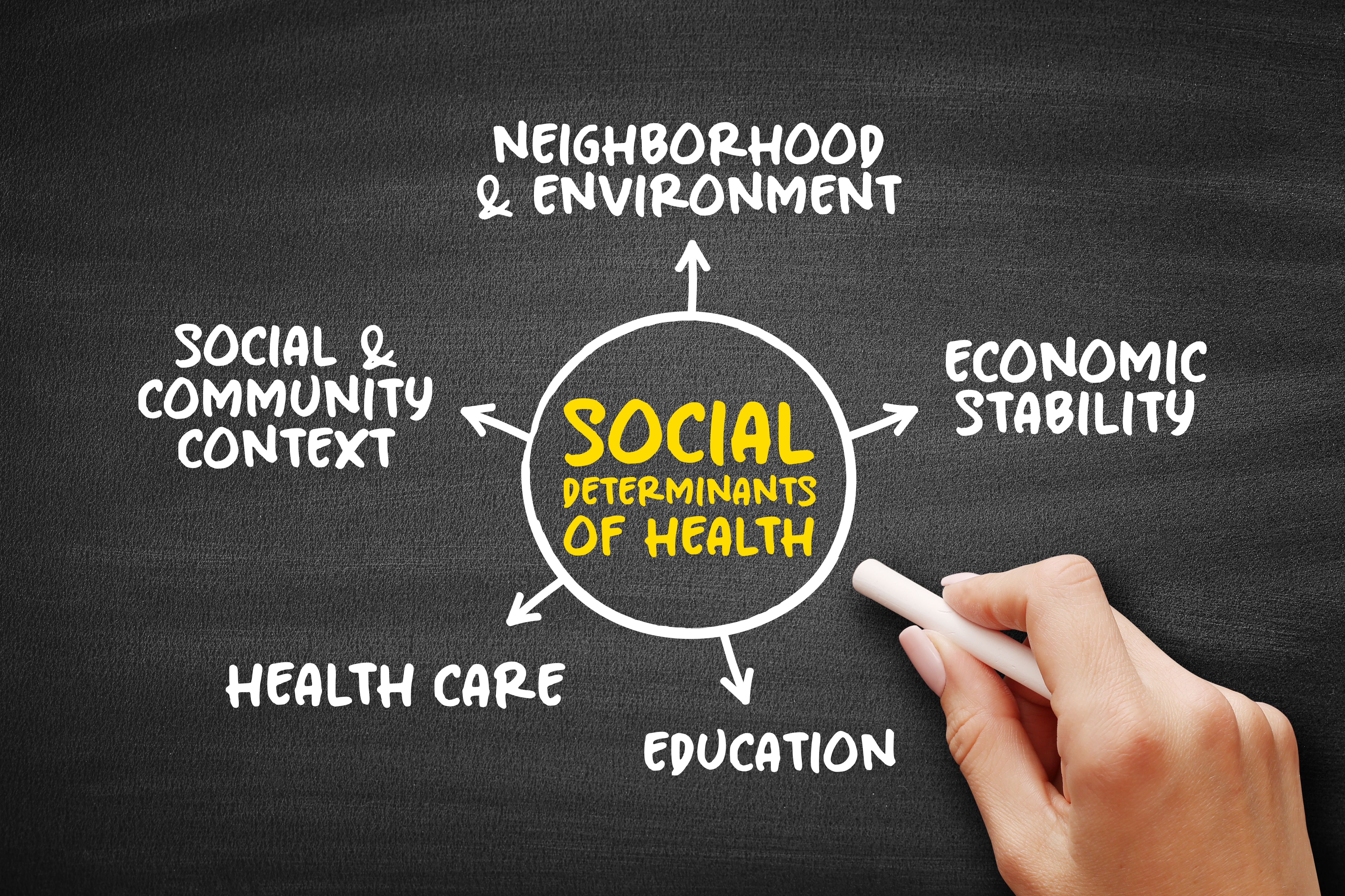 Data can help bring about health equity: ©Dizain - stock.adobe.com