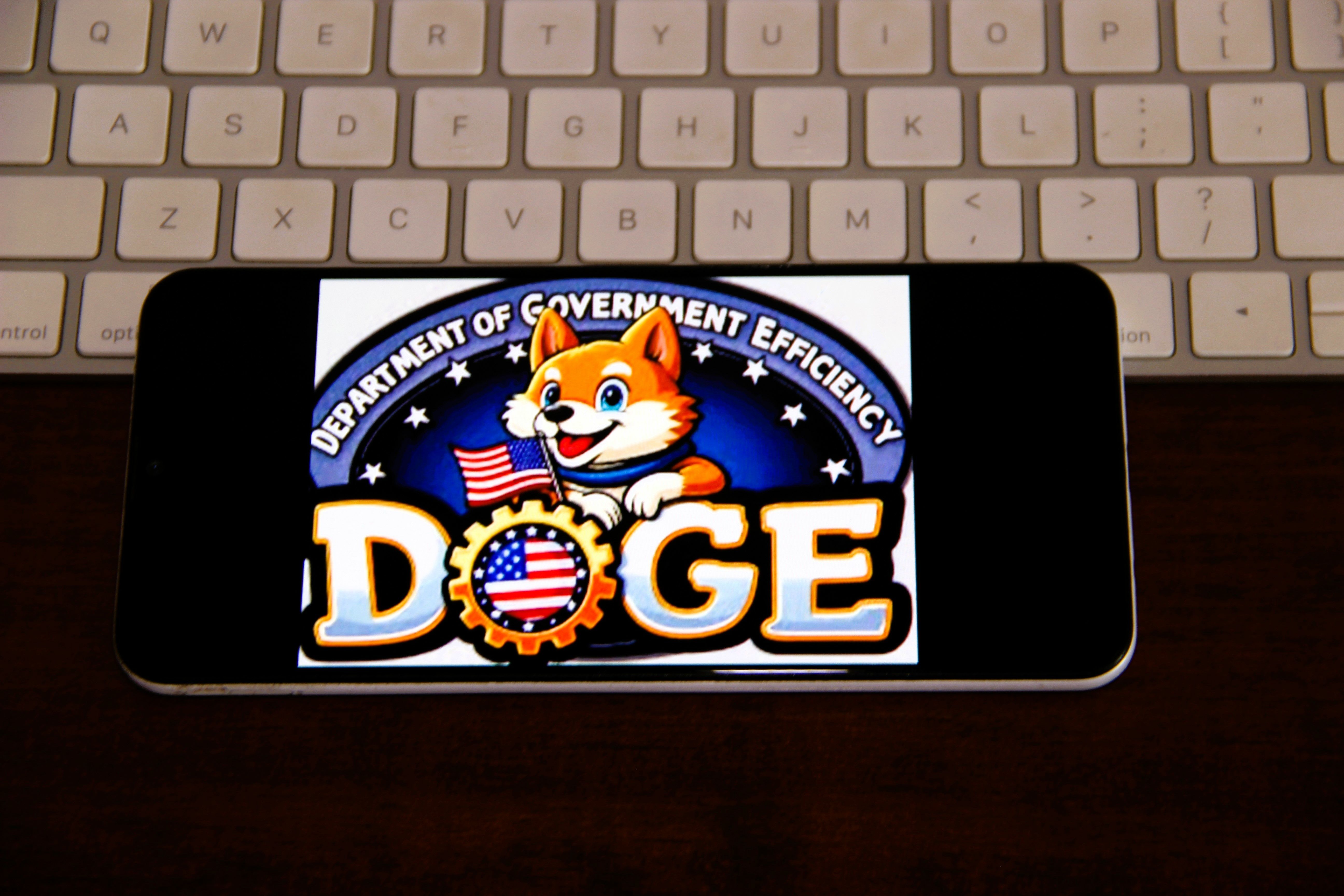 Elon Musk’s DOGE and its impact on federal health agencies, explained