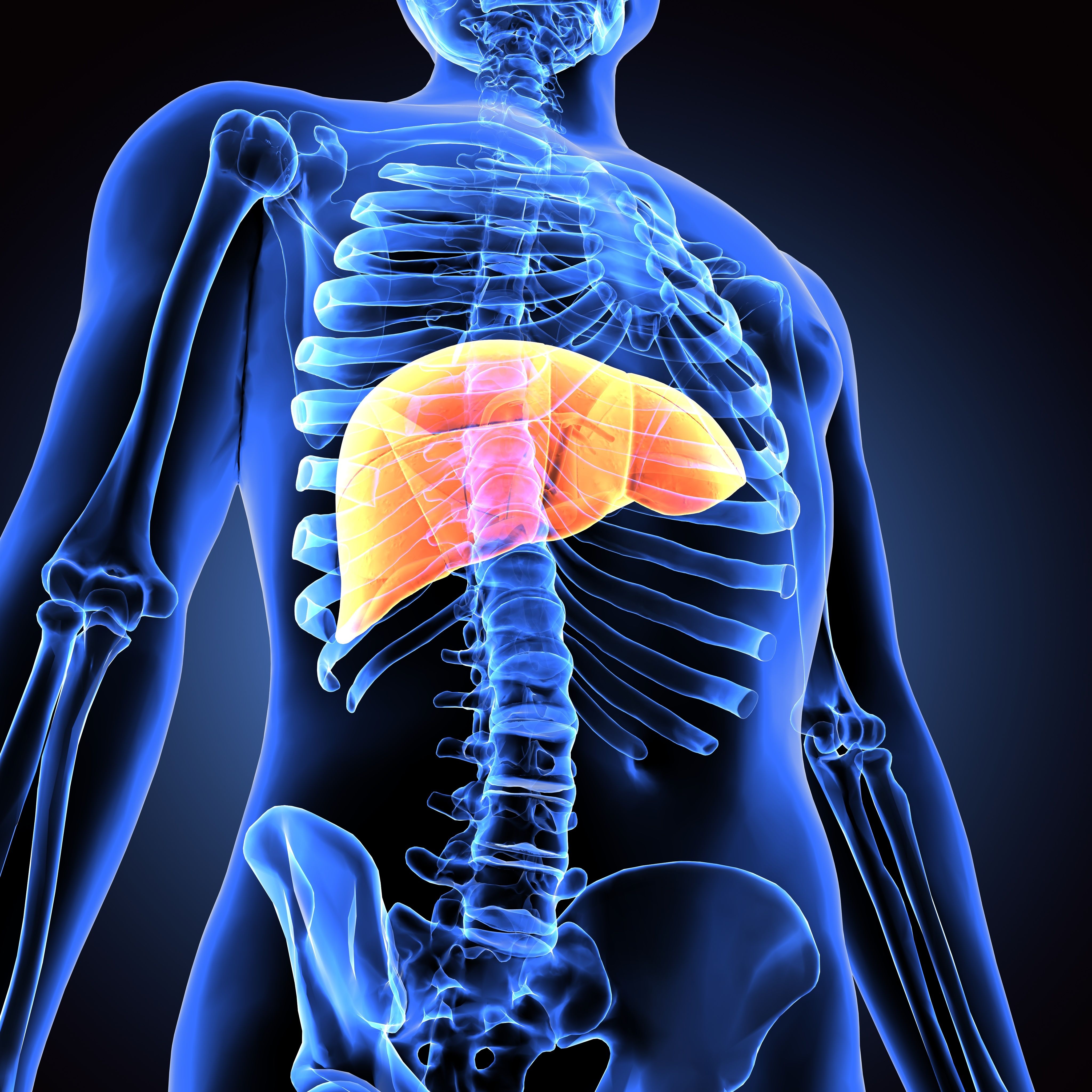 Managing chronic liver disease: PIC4U - ©stock.adobe.com