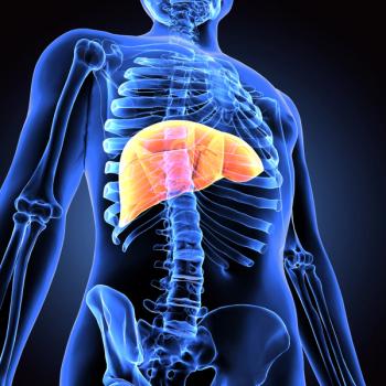 Non-invasive liver tumor treatment boosted by partnership: ©Pic4U - stock.adobe.com