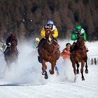 Practice Management, Horse Race, Digital Health