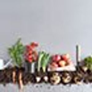 Addressing social determinants of health