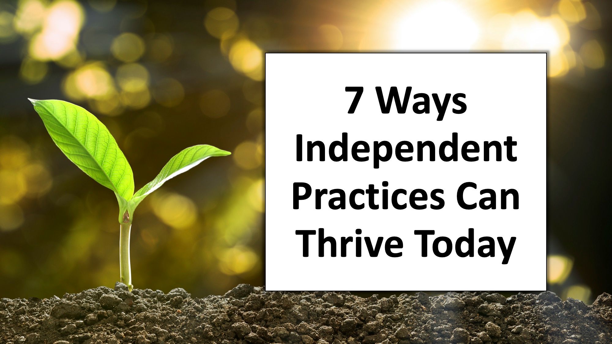 7 ways independent practices can thrive today