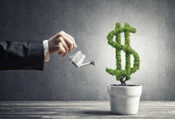 watering money shaped shrub