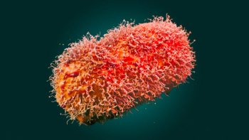Monkeypox vaccine gets emergency approval to increase vaccine supply