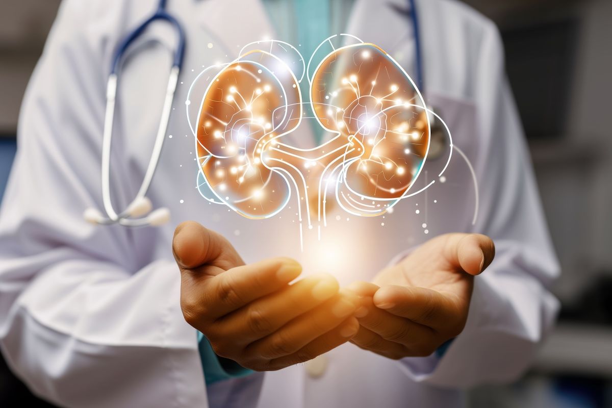 Virtual kidney-care companies show no consistent benefit despite billions in investment: ©Vector Market - stock.adobe.com