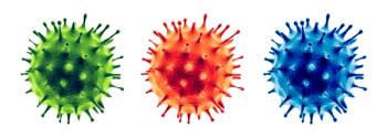 viruses
