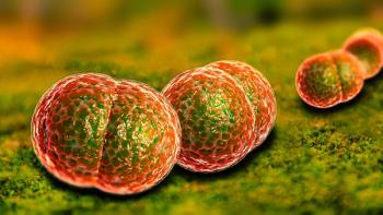 meningitis