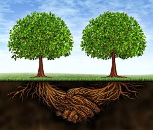 physicians, payers, value-based care