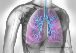 Primary care physicians need guidance on managing COPD