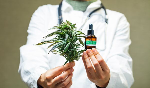 doctor physician medical marijuana cbd: © Elroi - stock.adobe.com