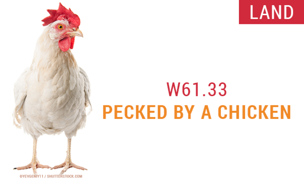 18 weird ICD-10 codes