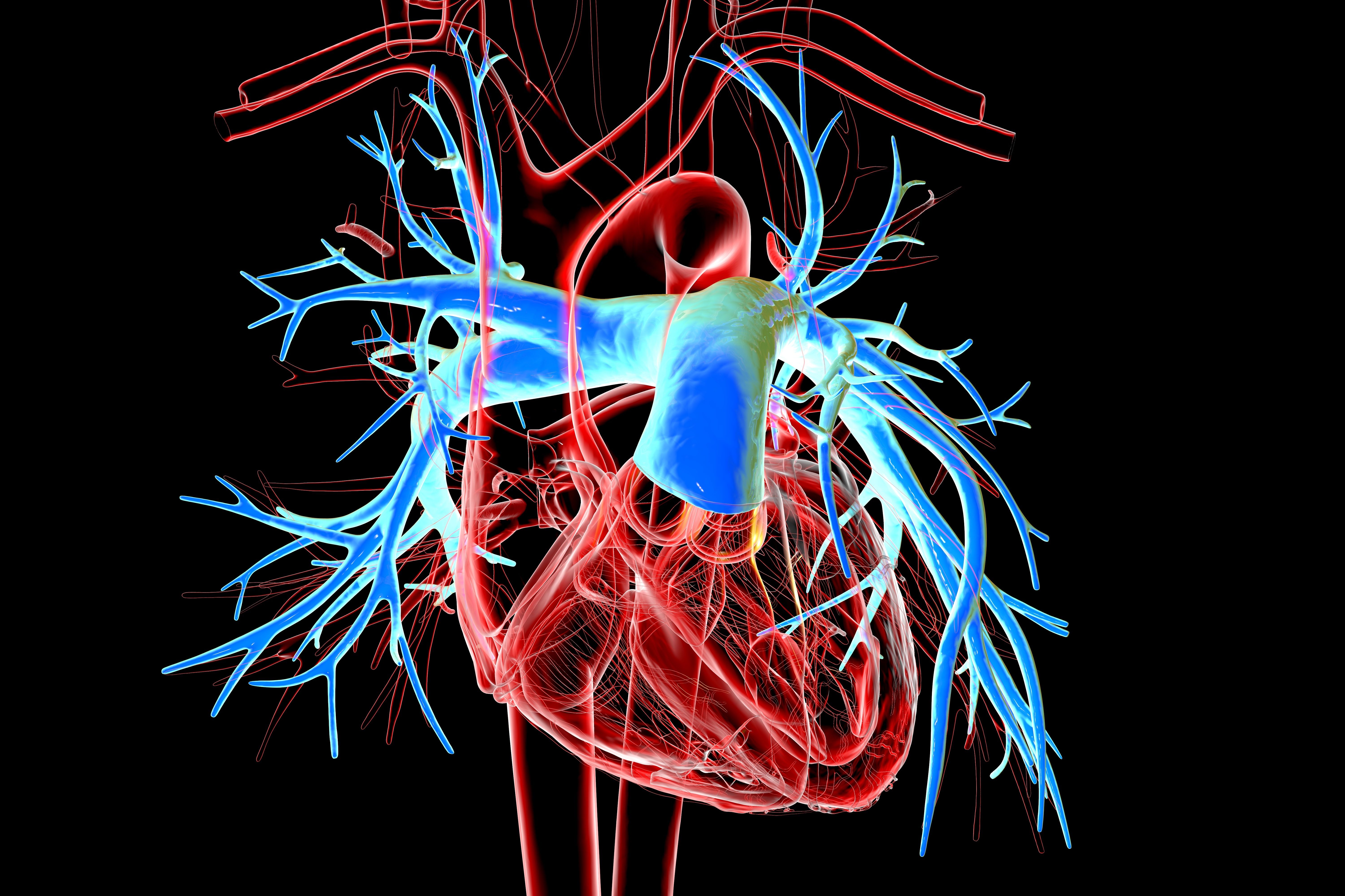 Jupiter Endovascular device shows promise: ©Dr Microbe -stock.adobe.com