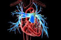 Jupiter Endovascular device shows promise: ©Dr Microbe -stock.adobe.com