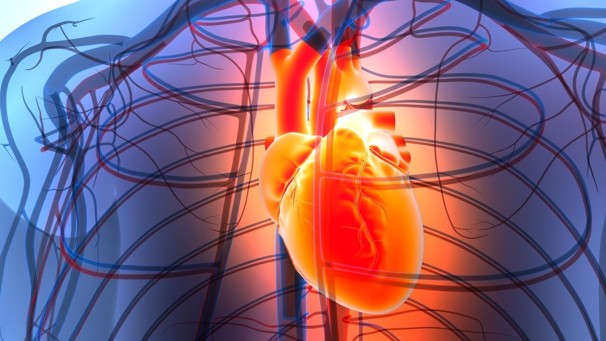 Pulse Biosciences receives FDA approval to launch atrial fibrillation study with nonthermal ablation system © magicmine - stock.adobe.com
