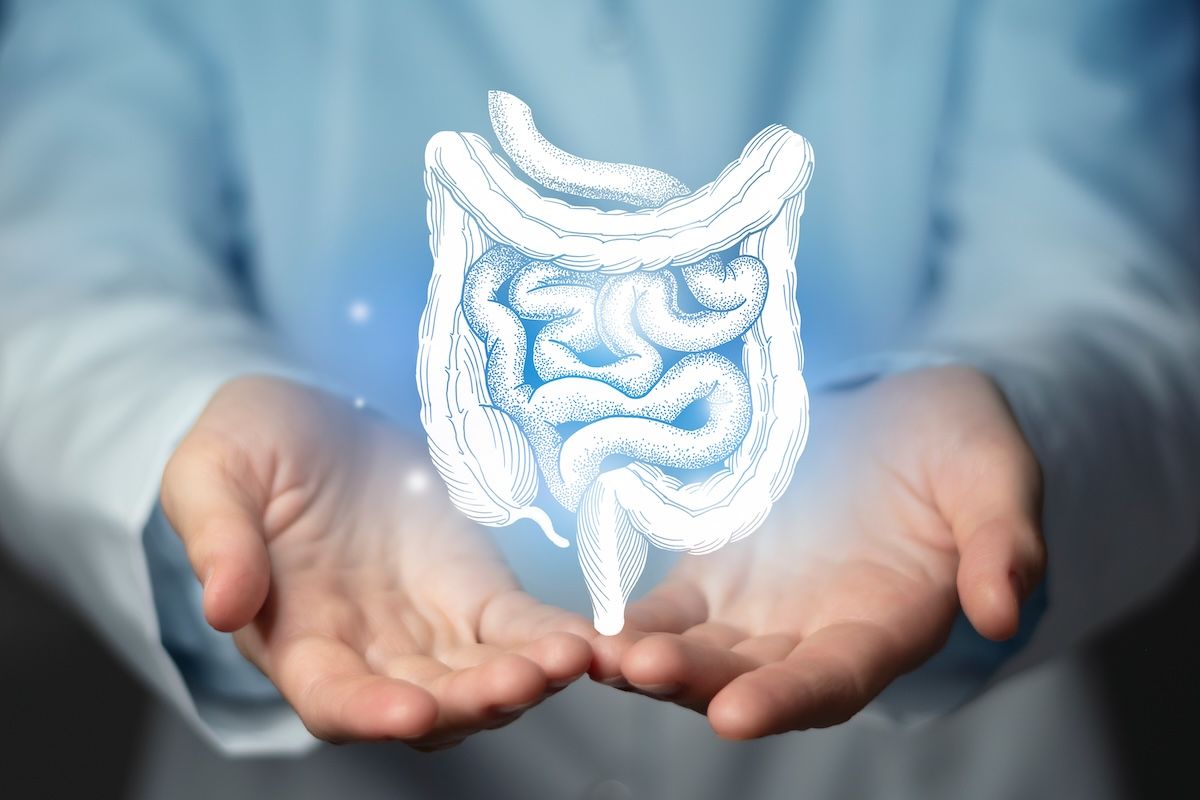 colon intestines colorectal cancer: © mi_viri - stock.adobe.com