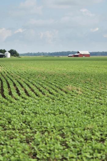 How to deal with the shortage of rural physicians 