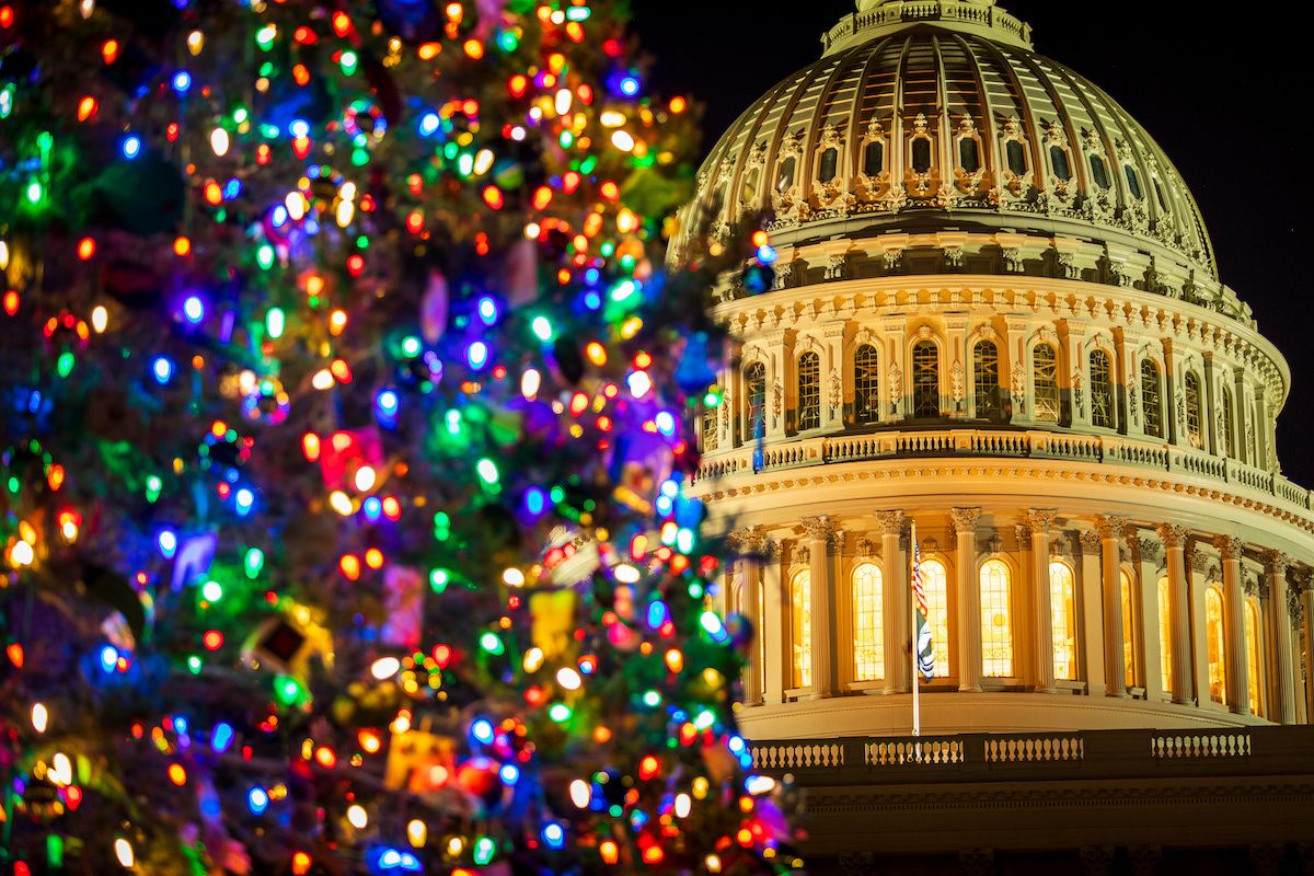 us capitol christmas tree congress: © Chris - stock.adobe.com